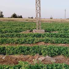 افضل ارض للبيع جدة