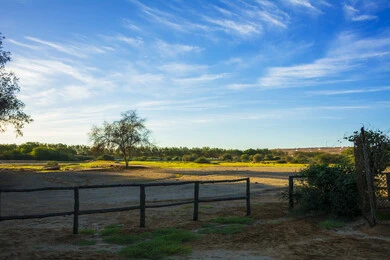 اراضي للبيع في منطقة الخمرة رخيصة فالسعودية