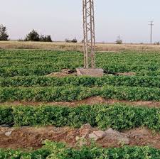 اراضي للبيع في شمال جدة رخيصة